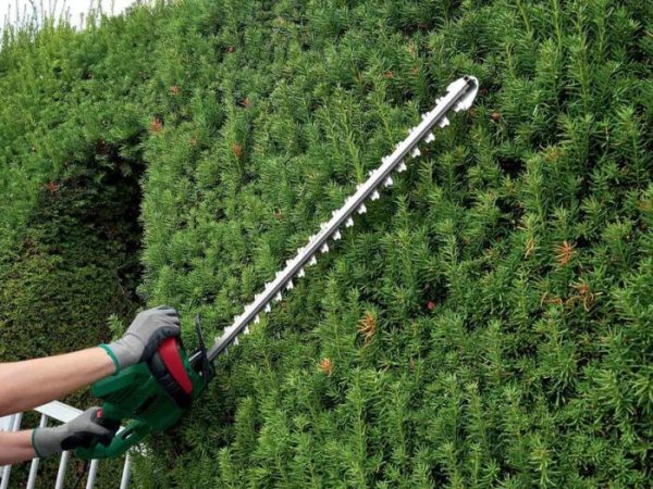 Parkside® 650W Electric Hedge Trimmer - Image 3